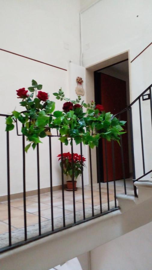 La Rosa Rossa Hotel Bari Ngoại thất bức ảnh
